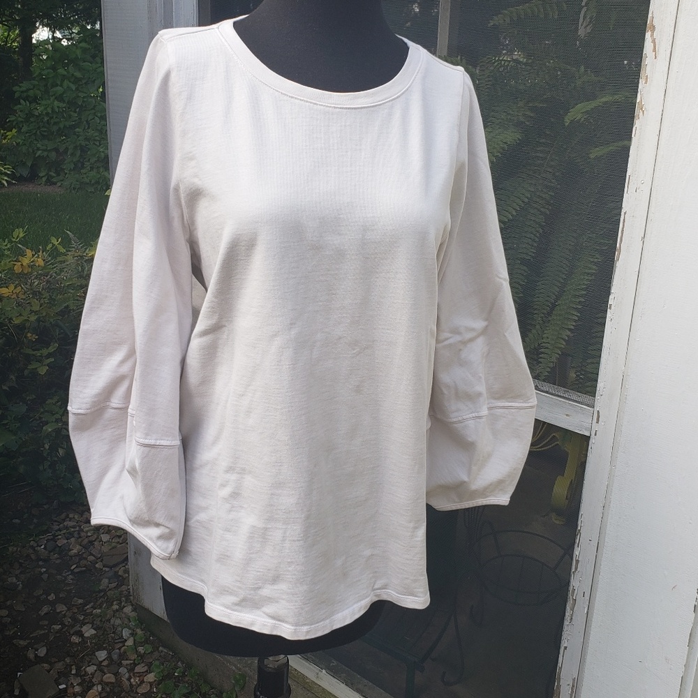 Velvet by Graham and Spencer Cotton Tunic